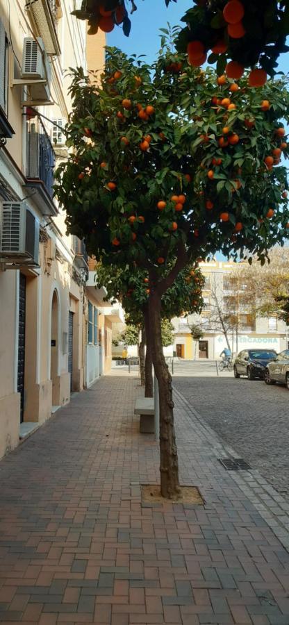 Ferienwohnung Golondrina Córdoba Exterior foto